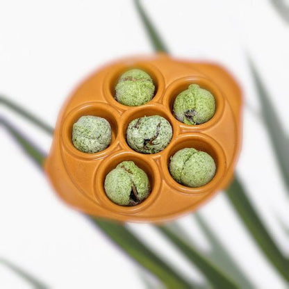 Escargots with Garlic and Parsley Butter 6 pcs